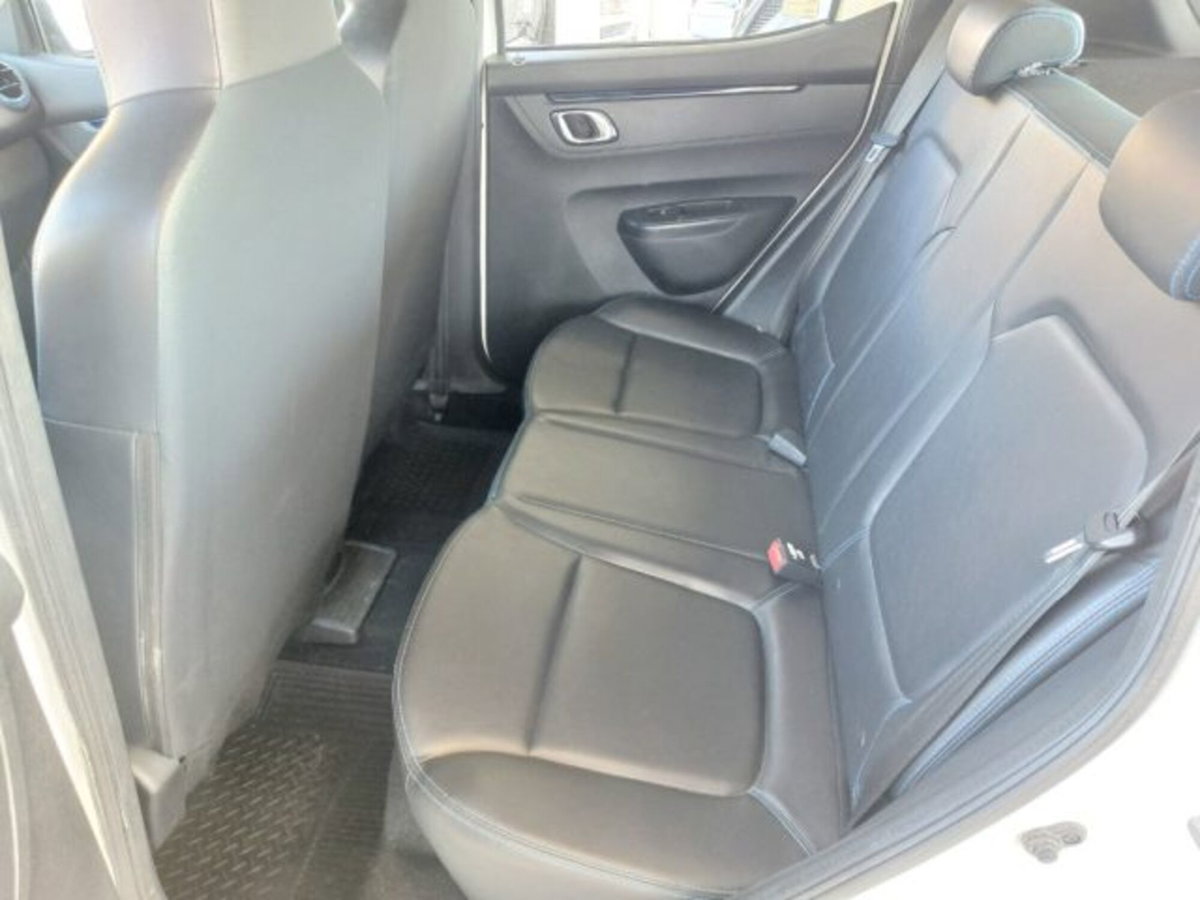 Dacia Spring Business Electric 45 (7)