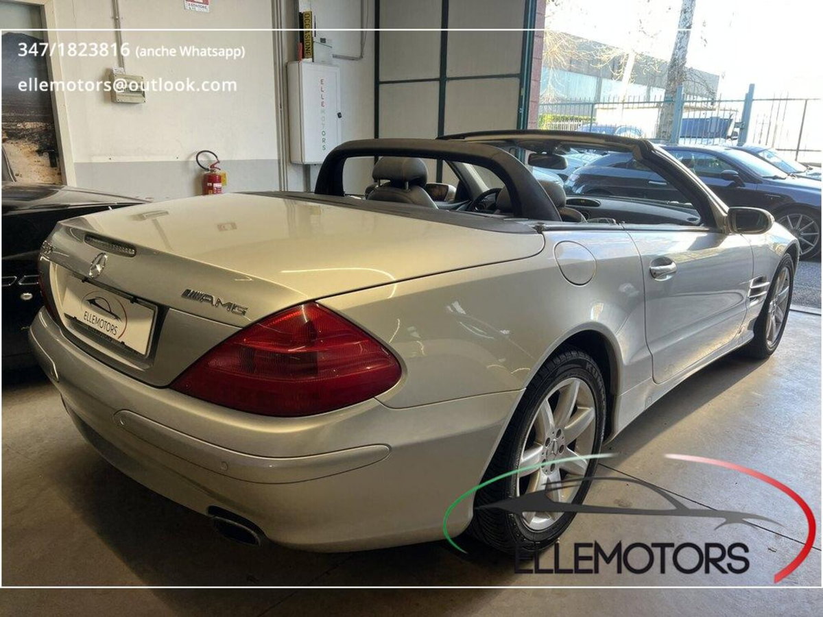 Mercedes-Benz SL 350 cat (4)