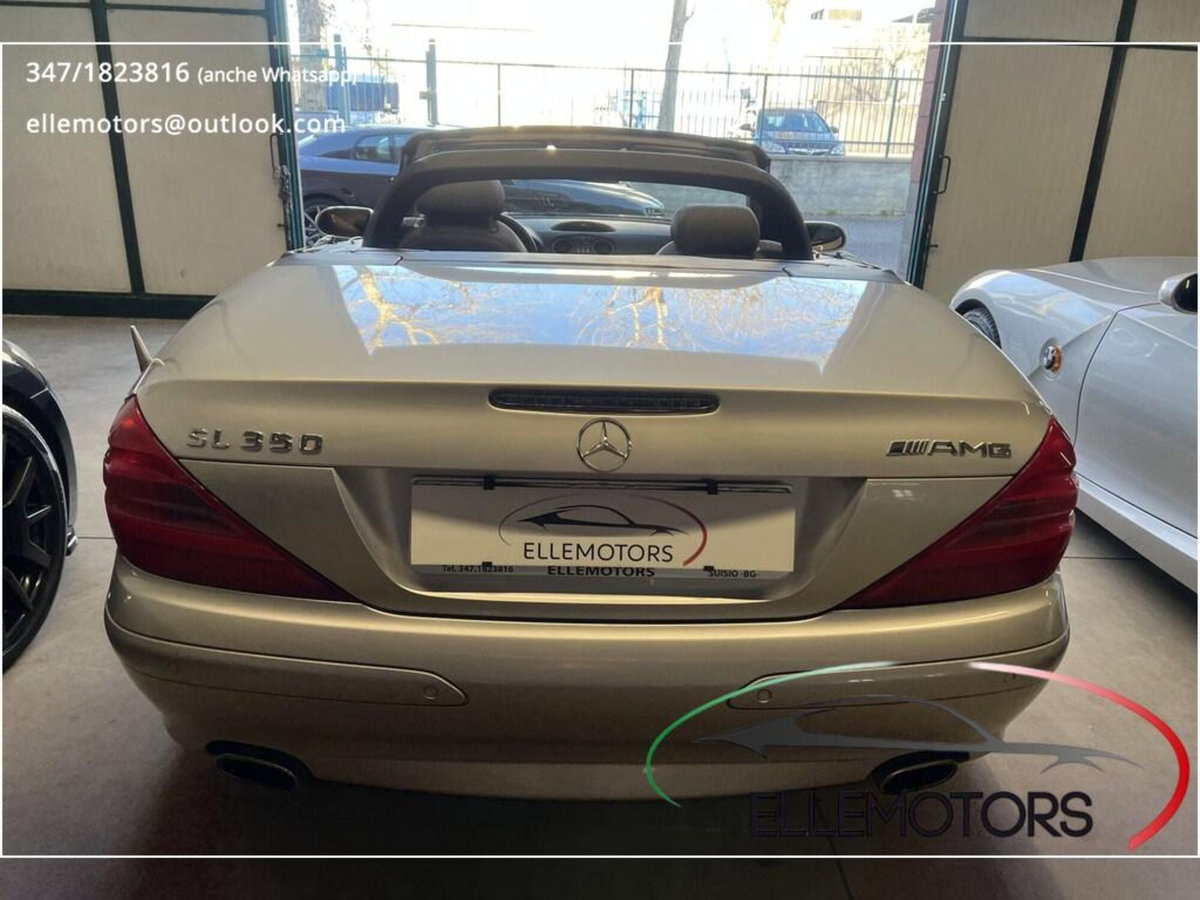 Mercedes-Benz SL 350 cat (5)