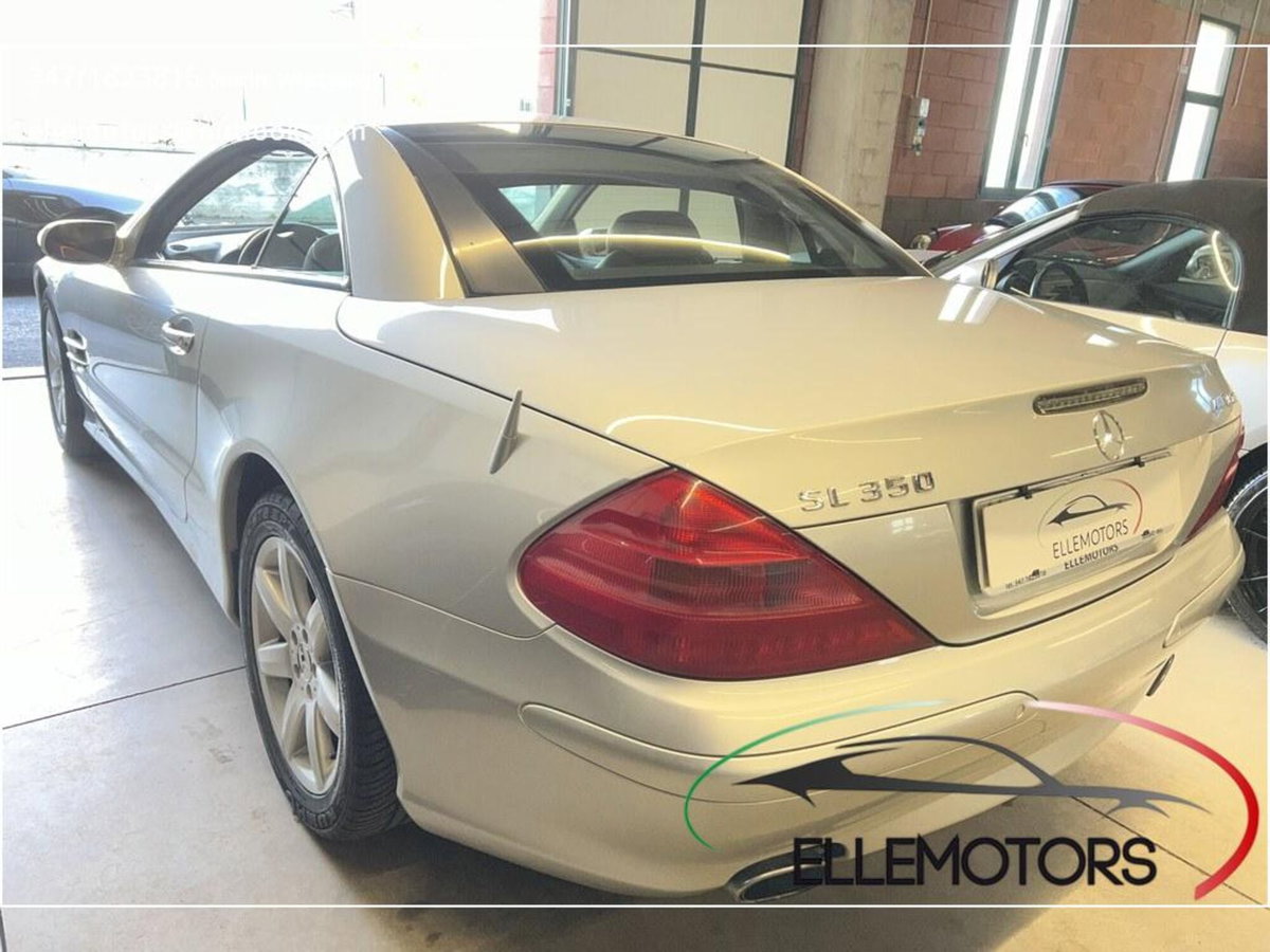Mercedes-Benz SL 350 cat (7)