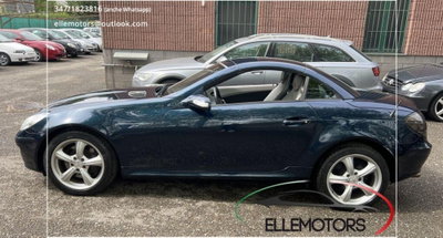 Mercedes-Benz SLK 350 cat (14)