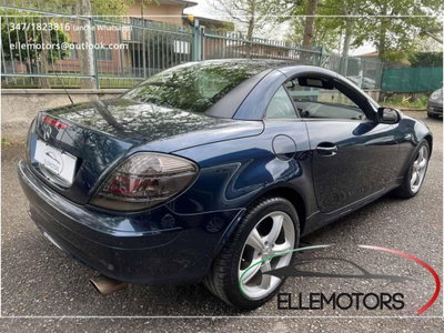 Mercedes-Benz SLK 350 cat (15)