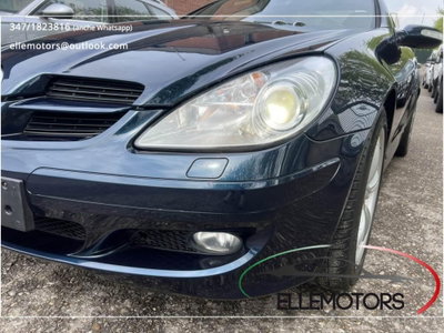 Mercedes-Benz SLK 350 cat (2)
