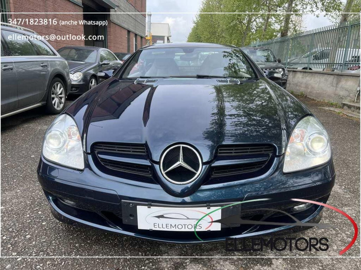 Mercedes-Benz SLK 350 cat (3)