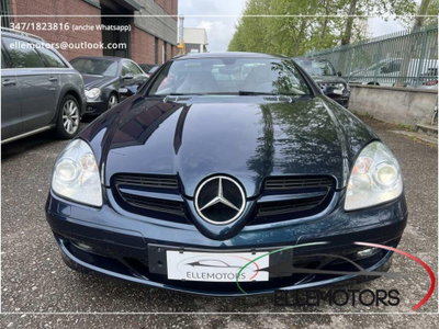 Mercedes-Benz SLK 350 cat (3)