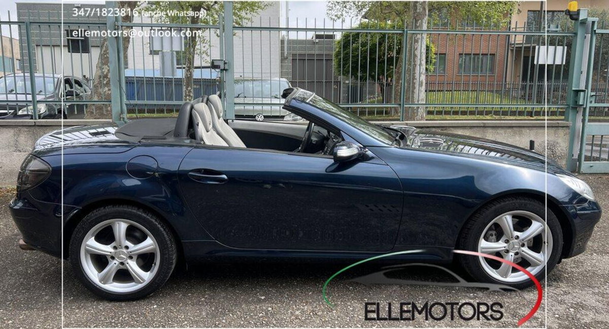 Mercedes-Benz SLK 350 cat (5)
