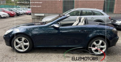 Mercedes-Benz SLK 350 cat (6)