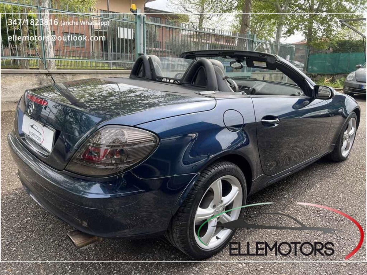 Mercedes-Benz SLK 350 cat (7)