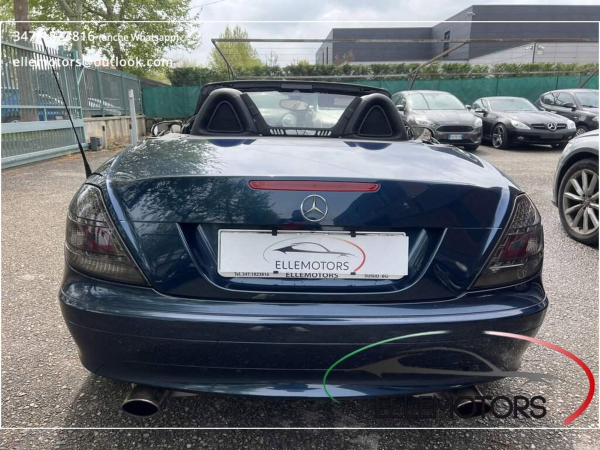 Mercedes-Benz SLK 350 cat (8)