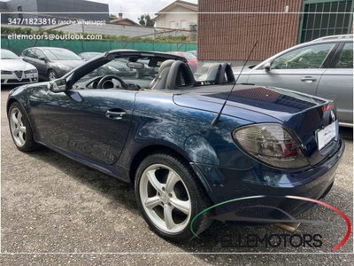 Mercedes-Benz SLK 350 cat (9)