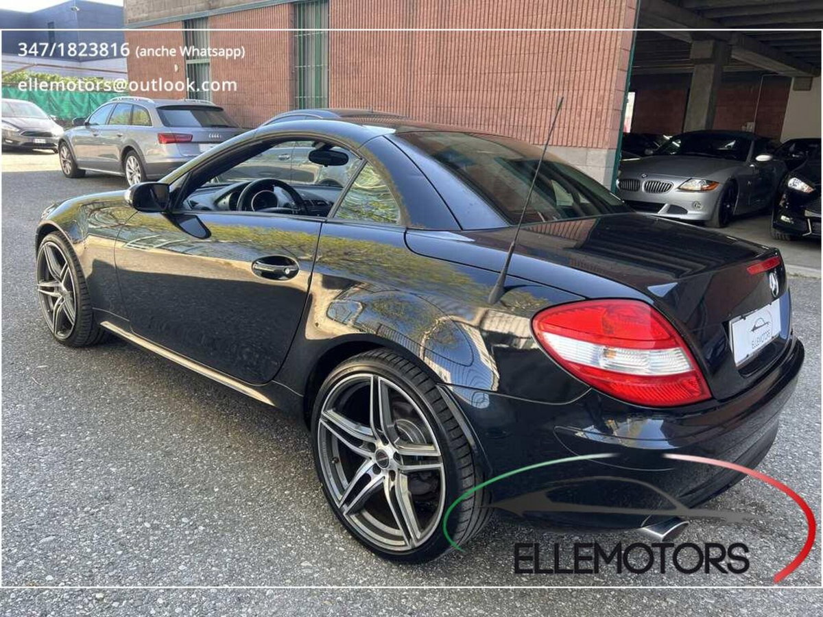 Mercedes-Benz SLK 350 cat (10)