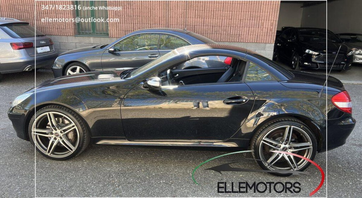 Mercedes-Benz SLK 350 cat (12)