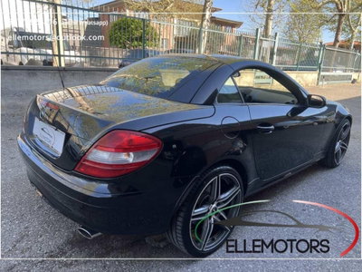 Mercedes-Benz SLK 350 cat (13)