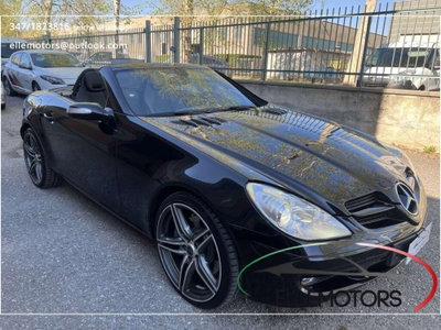 Mercedes-Benz SLK 350 cat (2)
