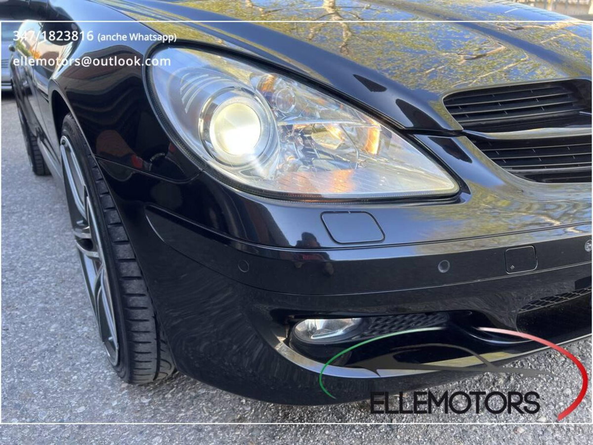 Mercedes-Benz SLK 350 cat (5)