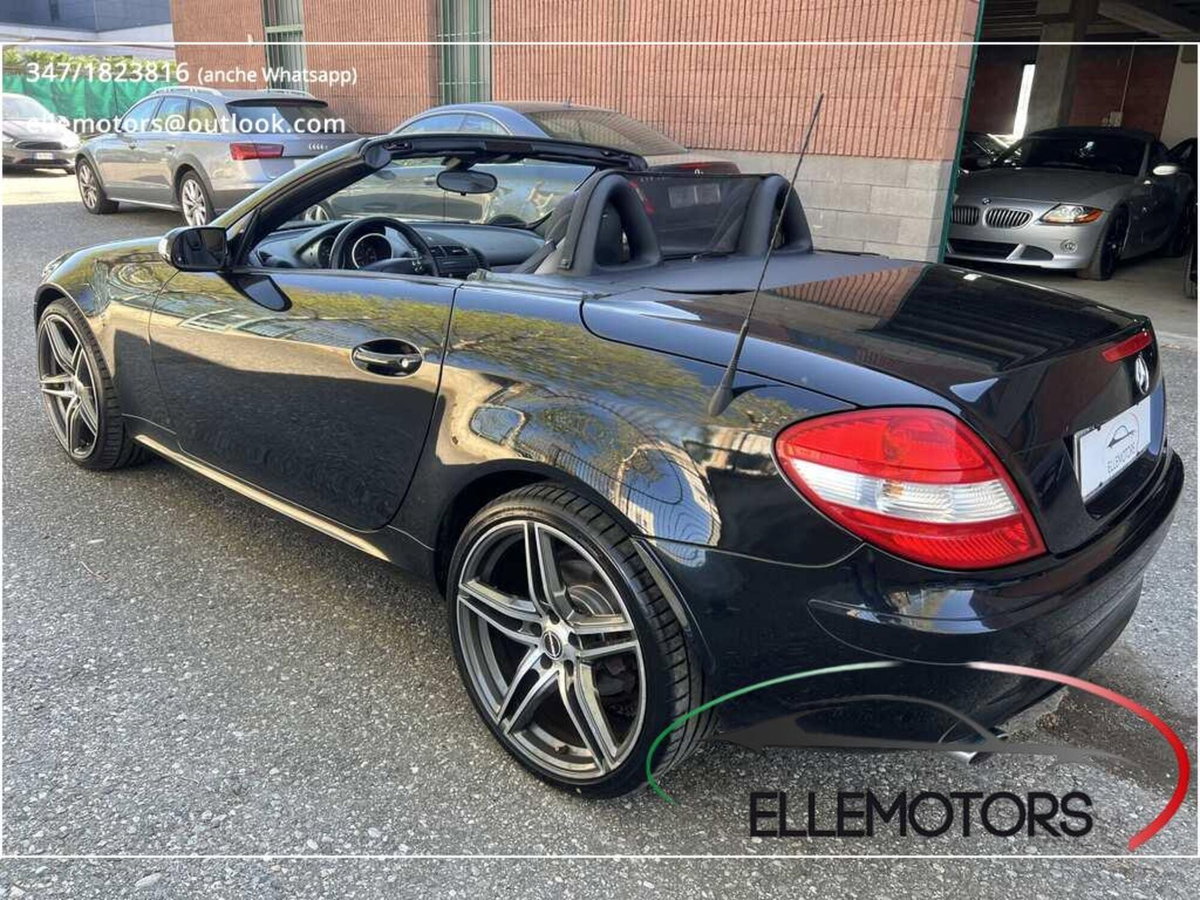 Mercedes-Benz SLK 350 cat (6)
