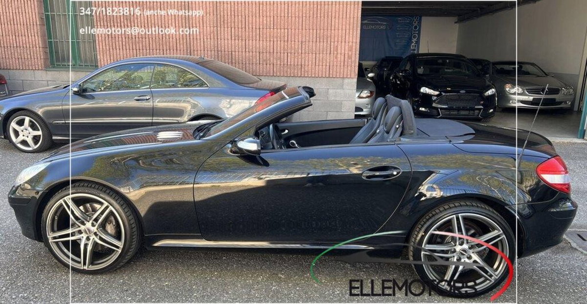 Mercedes-Benz SLK 350 cat (7)