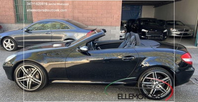 Mercedes-Benz SLK 350 cat (7)