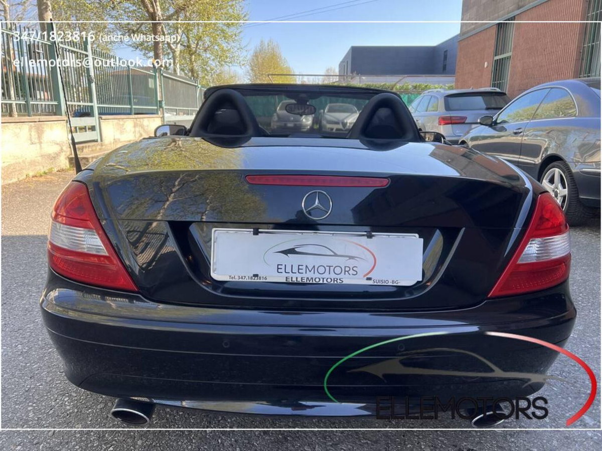 Mercedes-Benz SLK 350 cat (8)