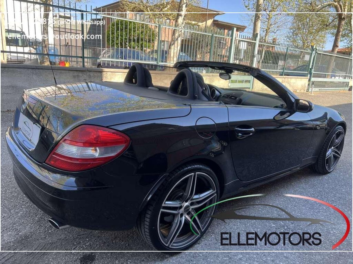 Mercedes-Benz SLK 350 cat (9)