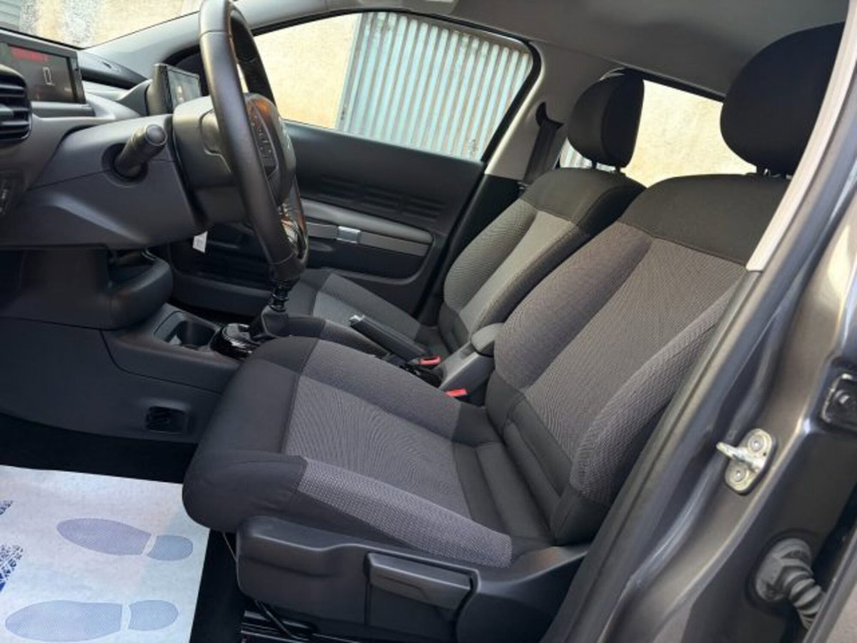 Citroen C4 Cactus BlueHDi 100 S&S Feel Pack (11)