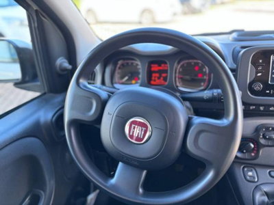 Fiat Panda 1.0 firefly hybrid s&s 70cv (10)