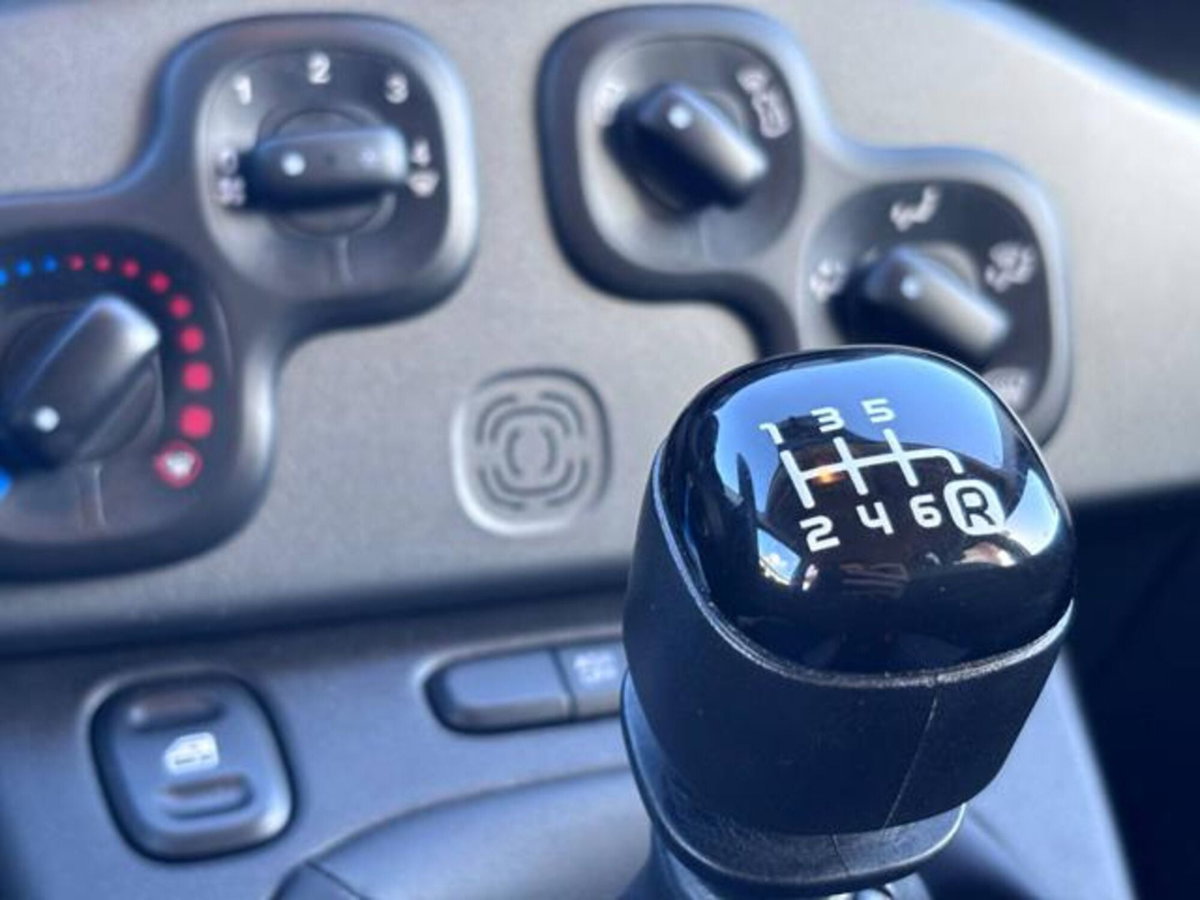 Fiat Panda 1.0 firefly hybrid s&s 70cv (12)