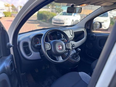 Fiat Panda 1.0 firefly hybrid s&s 70cv (5)