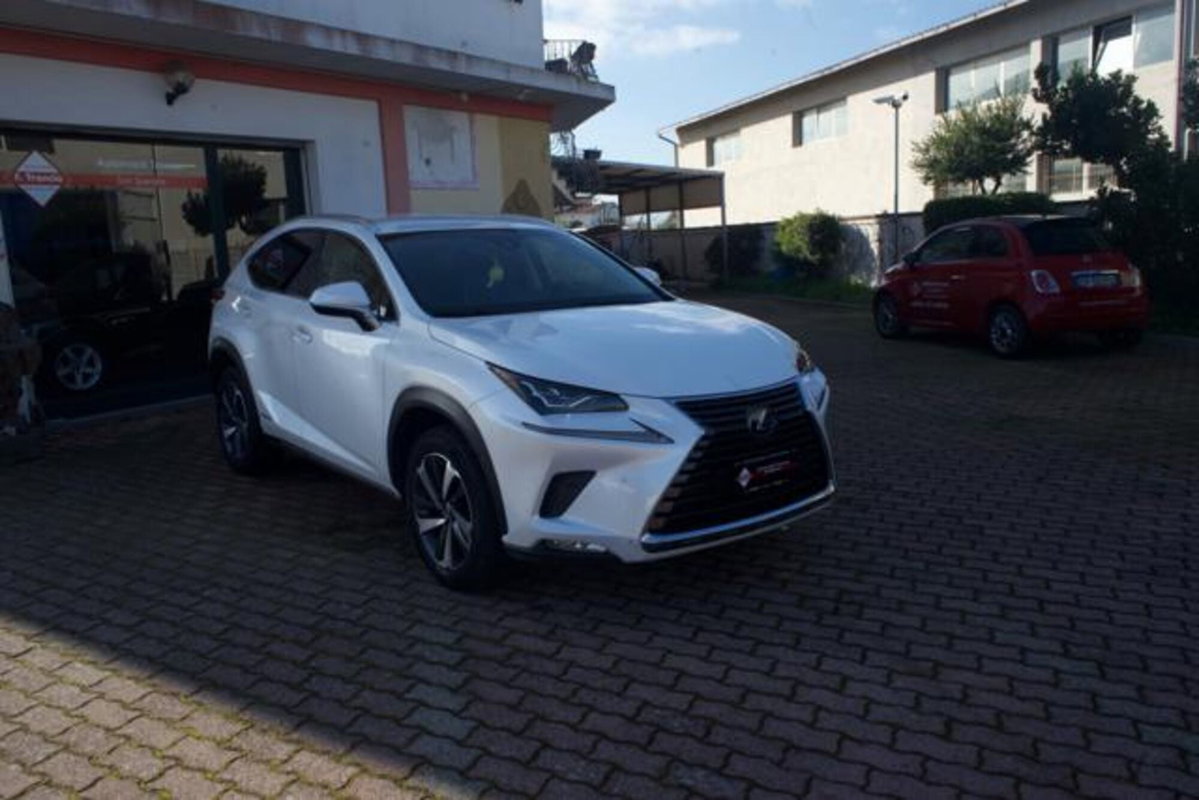 Lexus NX Hybrid 4WD Luxury (2)