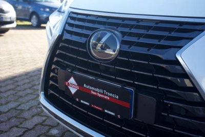 Lexus NX Hybrid 4WD Luxury (4)