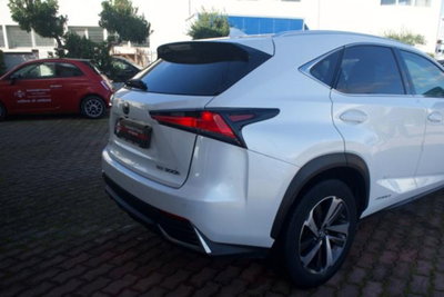 Lexus NX Hybrid 4WD Luxury (6)