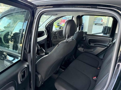 Fiat Pandina 1.0 firefly hybrid s&s 70cv (8)