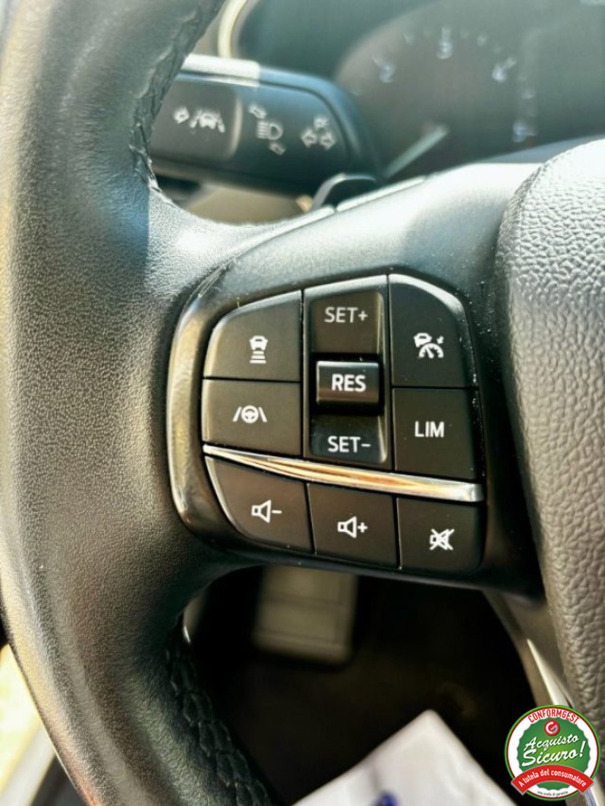 Ford Focus Station Wagon 1.5 EcoBlue 120 CV automatico SW Business Co-Pilot (13)