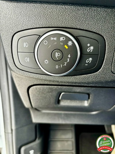 Ford Focus Station Wagon 1.5 EcoBlue 120 CV automatico SW Business Co-Pilot (17)