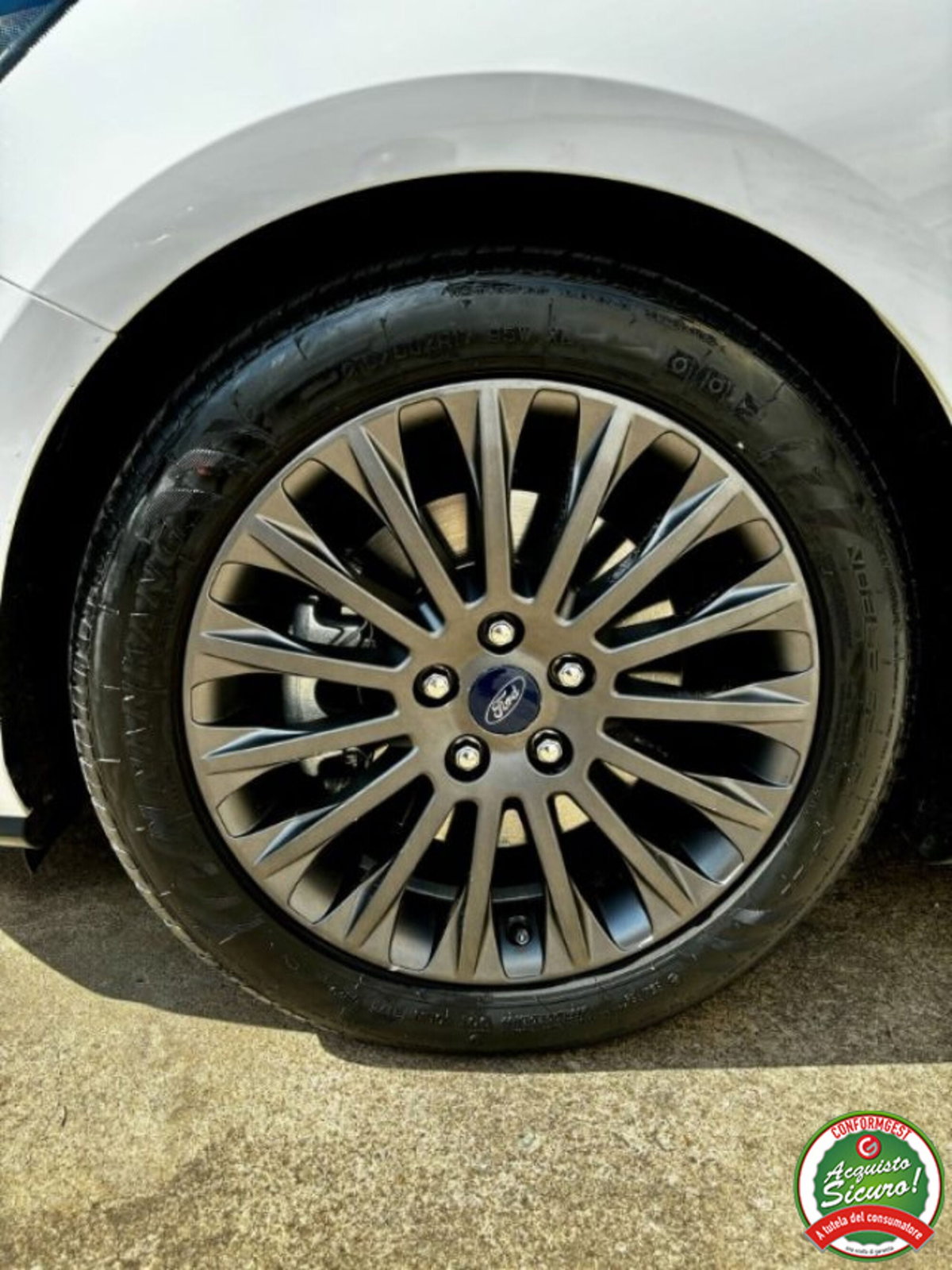 Ford Focus Station Wagon 1.5 EcoBlue 120 CV automatico SW Business Co-Pilot (8)