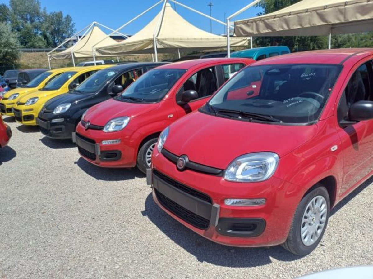 Fiat Panda 1.0 firefly hybrid s&s 70cv 5p.ti (3)
