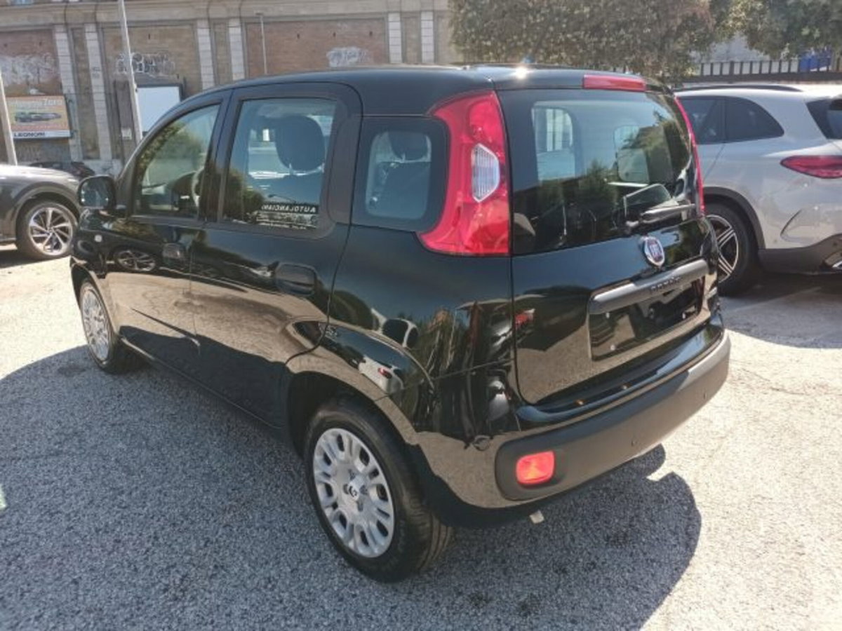 Fiat Panda 1.0 firefly hybrid s&s 70cv 5p.ti (4)