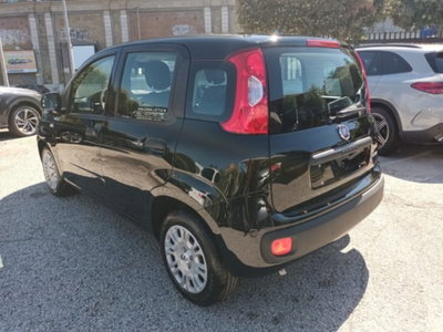 Fiat Panda 1.0 firefly hybrid s&s 70cv 5p.ti (4)
