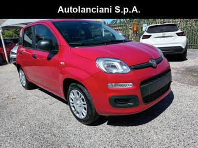 Fiat Panda 1.0 firefly hybrid s&s 70cv 5p.ti nuova