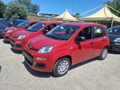 Fiat Panda 1.0 firefly hybrid s&s 70cv 5p.ti (3)