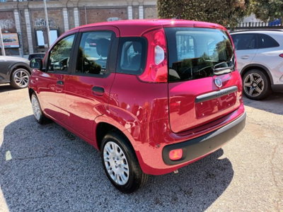 Fiat Panda 1.0 firefly hybrid s&s 70cv 5p.ti (5)