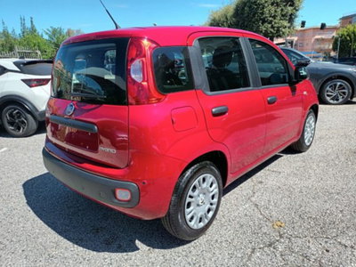Fiat Panda 1.0 firefly hybrid s&s 70cv 5p.ti (6)