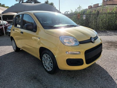 Fiat Panda 1.0 firefly hybrid s&s 70cv 5p.ti (2)