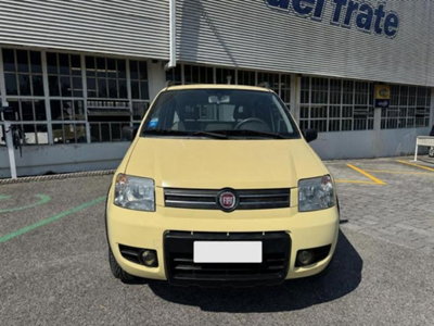 Fiat Panda 1.2 4x4 Climbing (9)