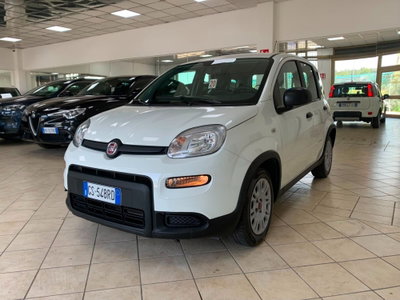 Fiat Panda Cross Cross 1.0 FireFly S&S Hybrid usata