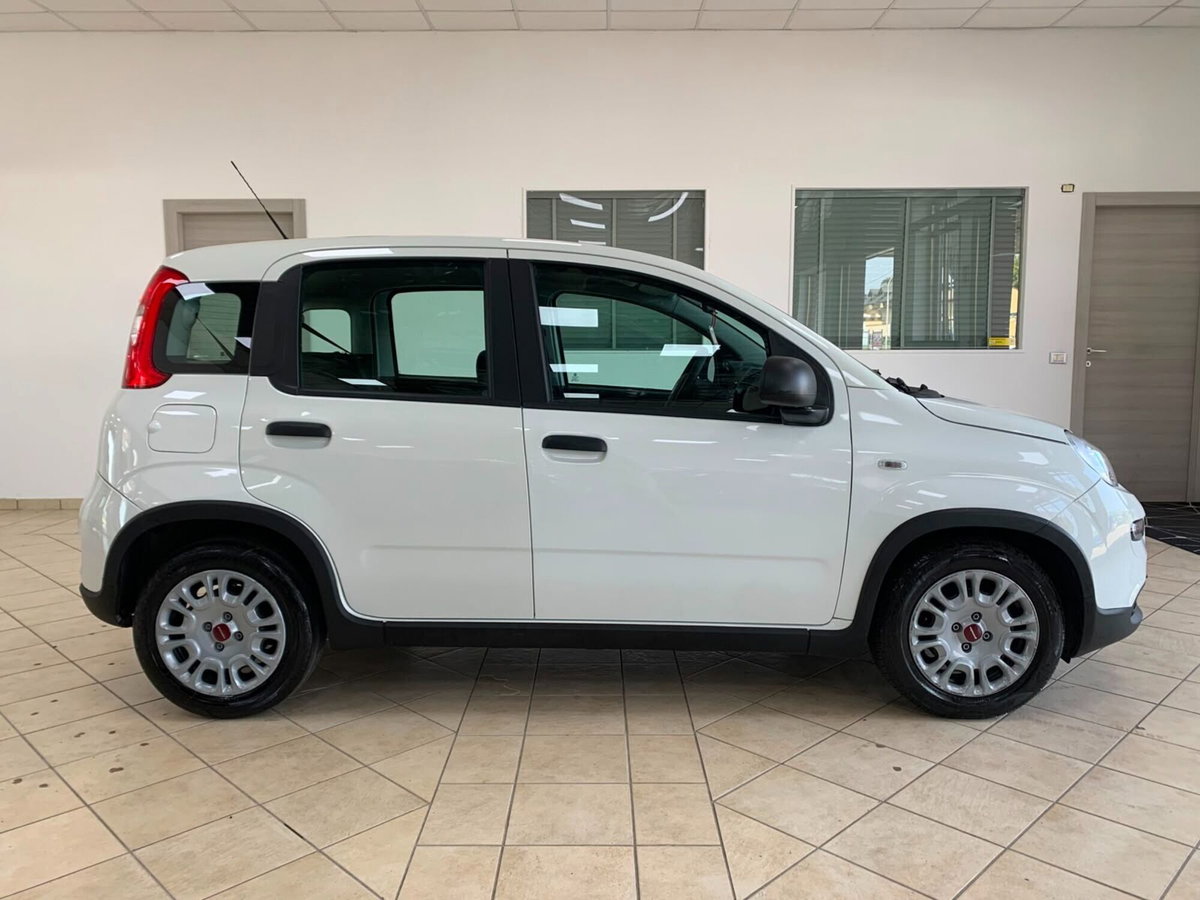 Fiat Panda Cross Cross 1.0 FireFly S&S Hybrid (4)