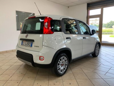 Fiat Panda Cross Cross 1.0 FireFly S&S Hybrid (5)