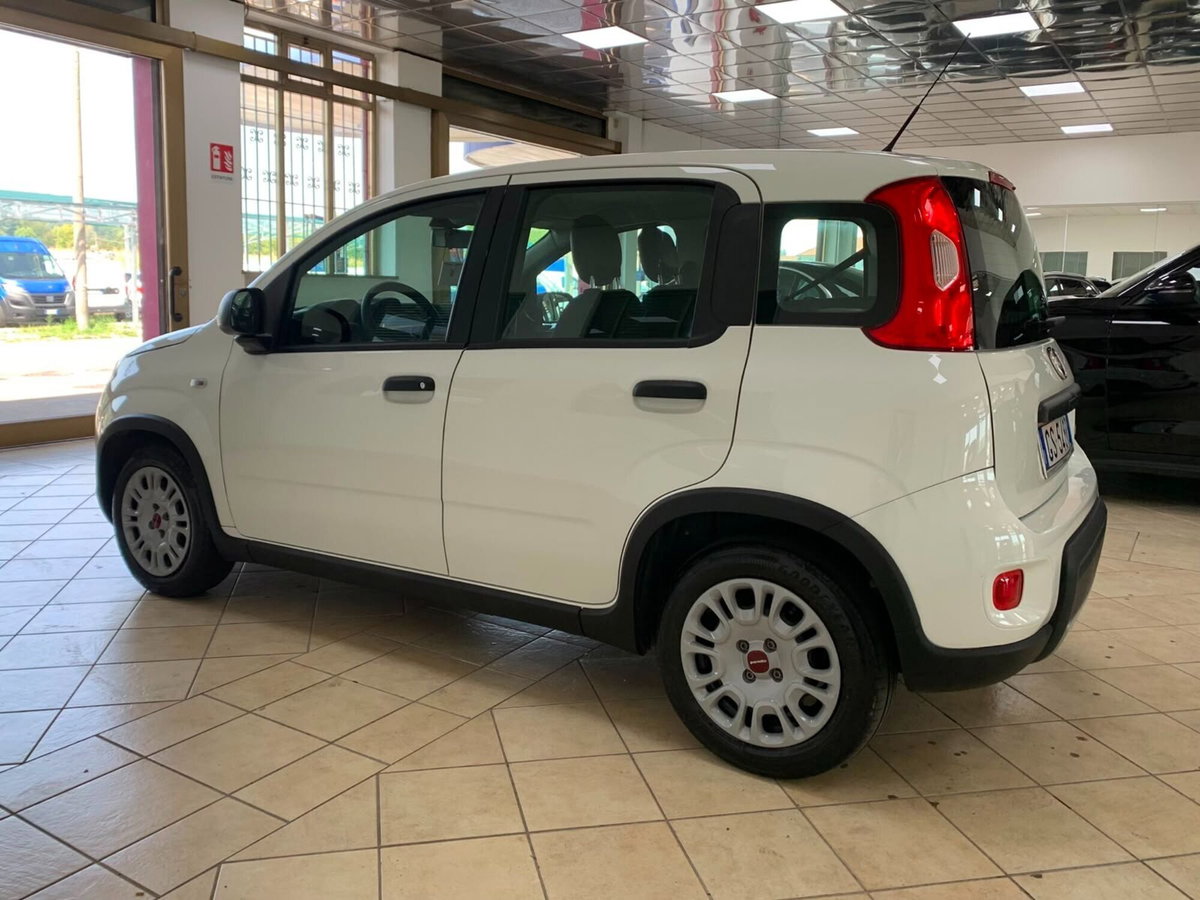 Fiat Panda Cross Cross 1.0 FireFly S&S Hybrid (7)