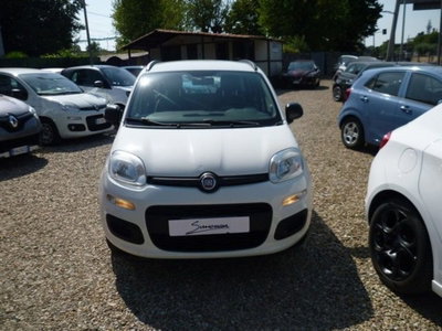 Fiat Panda 1.2 EasyPower Easy usata