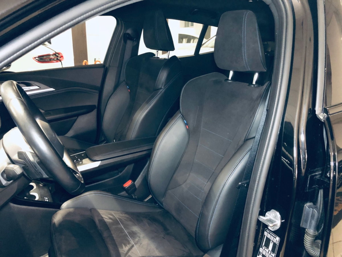 BMW X2 sdrive 20i 48V MSport auto (18)
